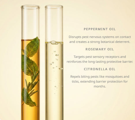 No Harsh Chemicals. Just 3 Powerful Plant Oils.