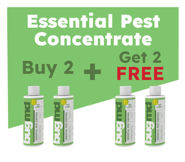 Pre-Memorial Day Sale: 50% OFF These 3 Products