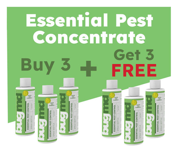 Pre-Memorial Day Sale: 50% OFF These 3 Products