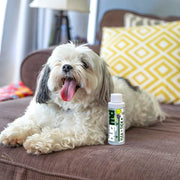 Flea + Tick Concentrate