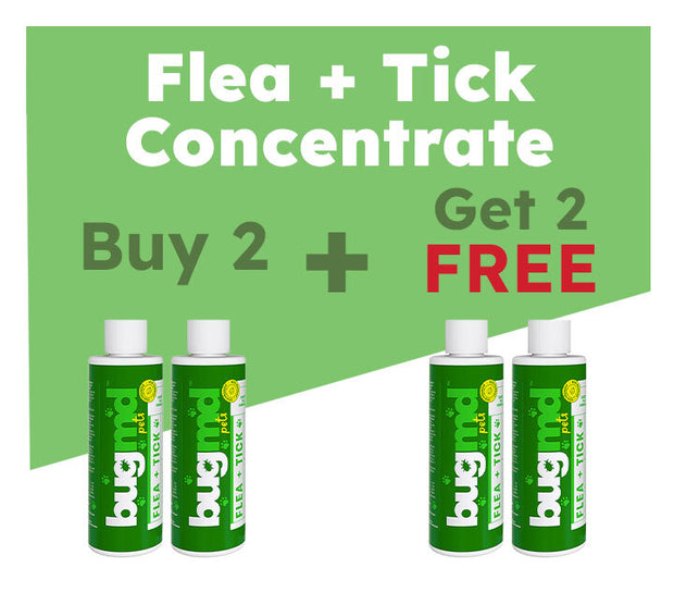 Pre-Memorial Day Sale: 50% OFF These 3 Products