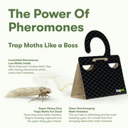 Clothes Moth Boss (Black)