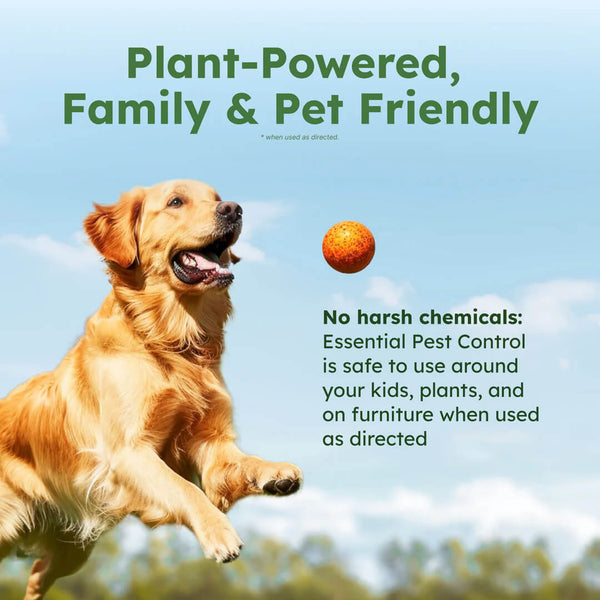 Starter Pack: BugMD Essential Concentrate