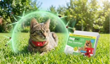 Repels Fleas & Ticks