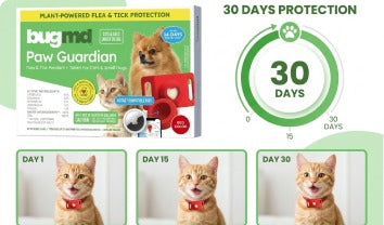 30-Day Protection