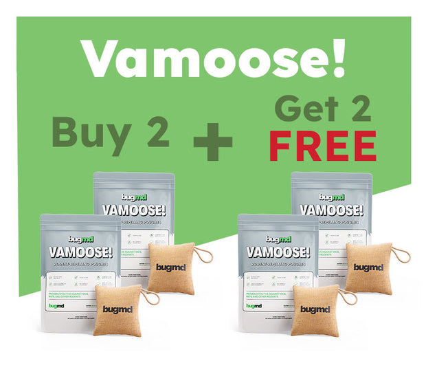 Pre-Memorial Day Sale: 50% OFF These 3 Products