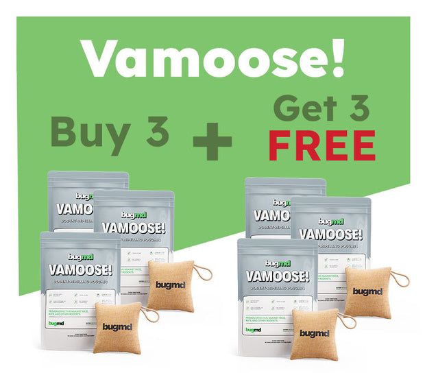 Pre-Memorial Day Sale: 50% OFF These 3 Products