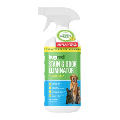 Stain & Odor Eliminator — 1 bottle