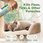 Flea + Tick Concentrate