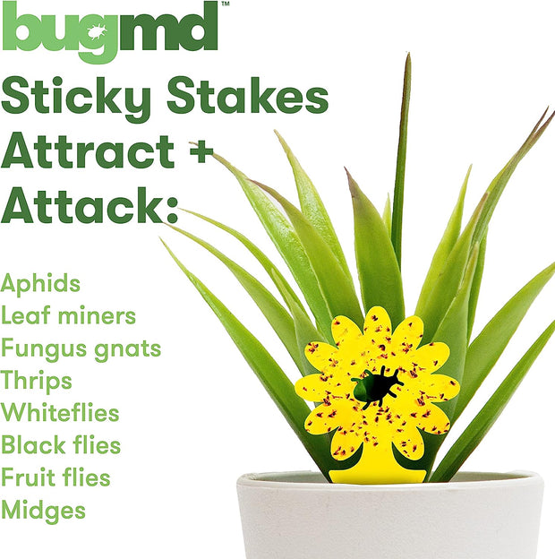 Sticky Stakes