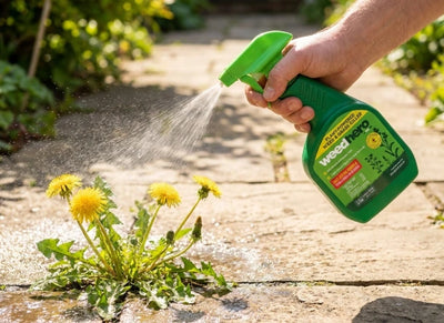 Ready-to-Use Spray