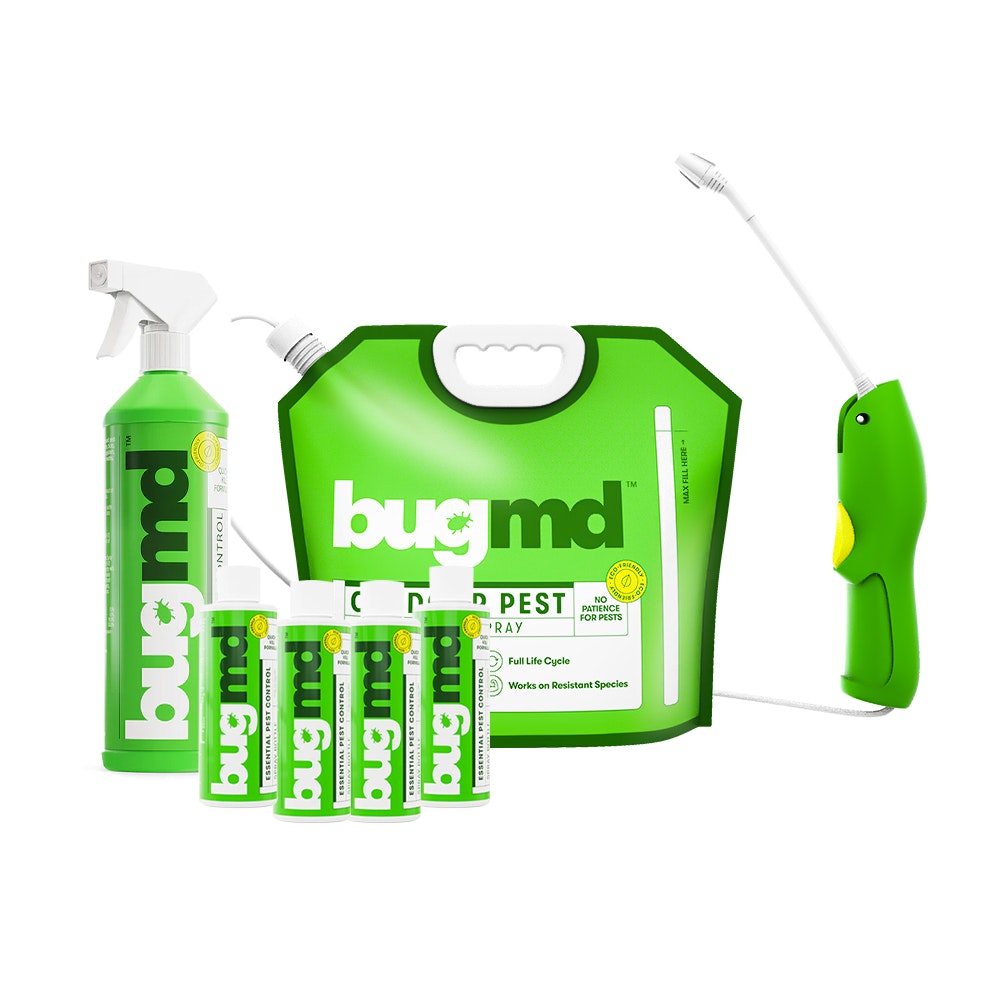 Ants Best Seller Kit